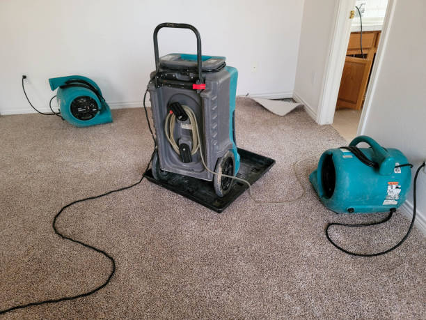 Best Water damage restoration near me  in New Castle, PA