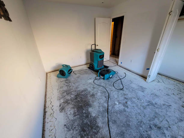 Best 24-hour water damage restoration  in New Castle, PA