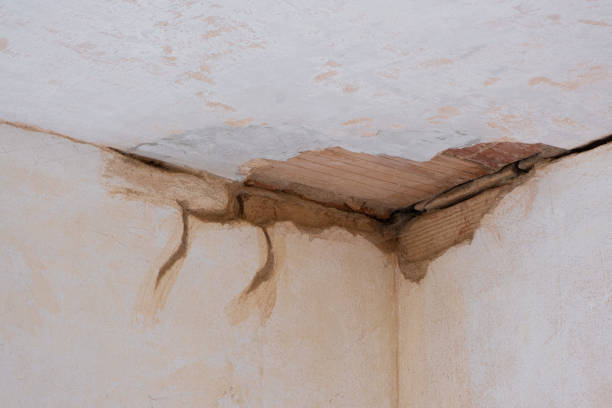 Best Flood damage cleanup  in New Castle, PA