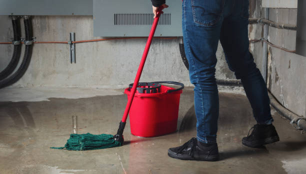 Best Water damage restoration near me  in New Castle, PA