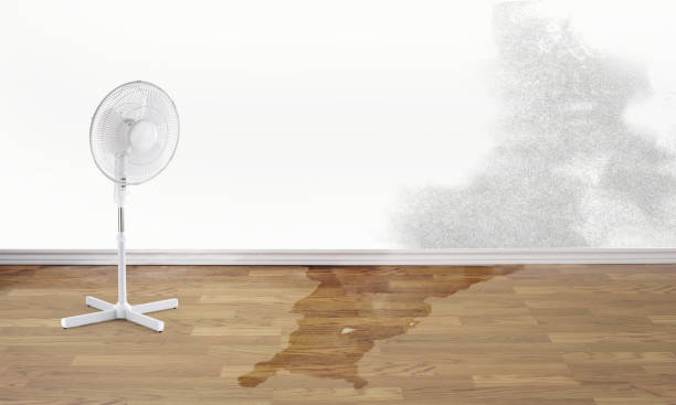 Best Local water damage restoration  in New Castle, PA