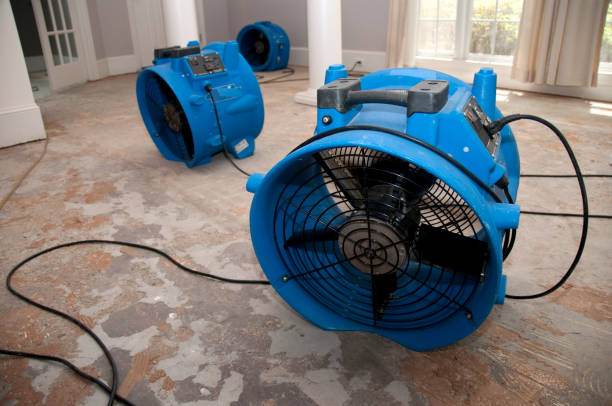 Best Ceiling water damage repair  in New Castle, PA