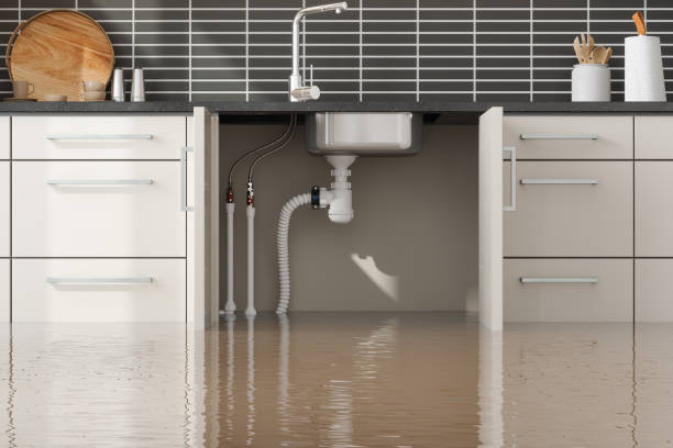 Best Water damage restoration near me  in New Castle, PA