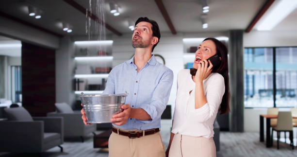 Best Flood restoration services  in New Castle, PA